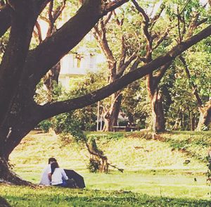 Man sitting on tree trunk