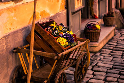 Flowers in wooden crate on cart