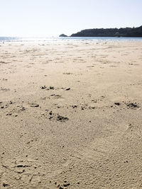 Scenic view of beach against clear sky