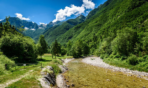 Scenic view of stream and landscape