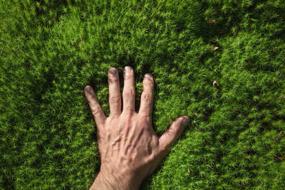 Human hand on grass