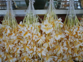 Close-up of yellow flowers for sale at market