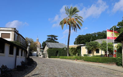 Palm trees and buildings against clear blue sky