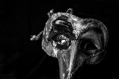 Close-up of human skull