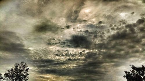 Storm clouds over trees