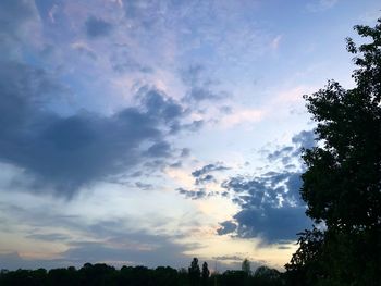 Low angle view of silhouette trees against sky during sunset