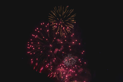 Low angle view of firework display at night