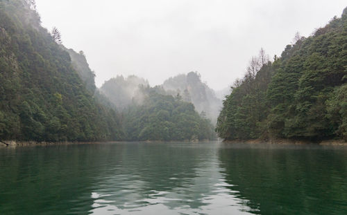 Scenic view of lake by trees against sky