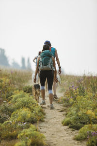 Rear view of female friends with dogs walking on field against sky in forest