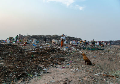 People at beach against sky