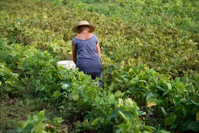 Rear view of woman standing amidst plants