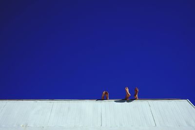 Low angle view of woman against blue sky