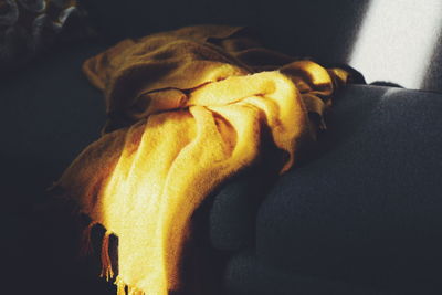 Close-up of dog relaxing