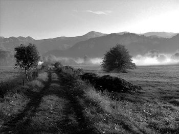 Trees on field by mountains against sky