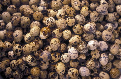 Full frame shot of quail eggs at market