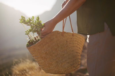 Midsection of woman holding herbs in basket outdoors