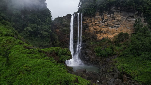 Scenic view of waterfall in forest