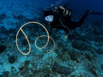 Scuba diving in sea