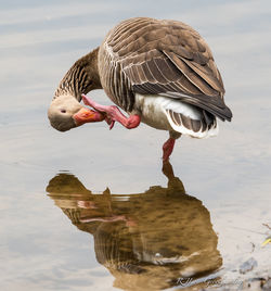 Built structure in water