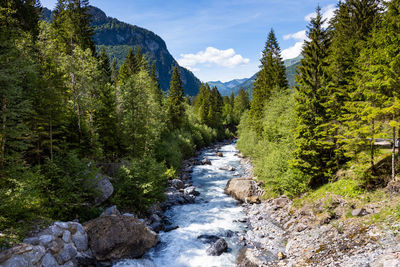 Scenic view of stream flowing through rocks in forest