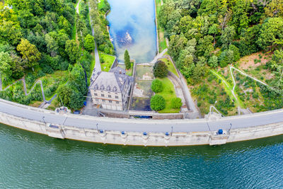 Panoramic shot of river by trees