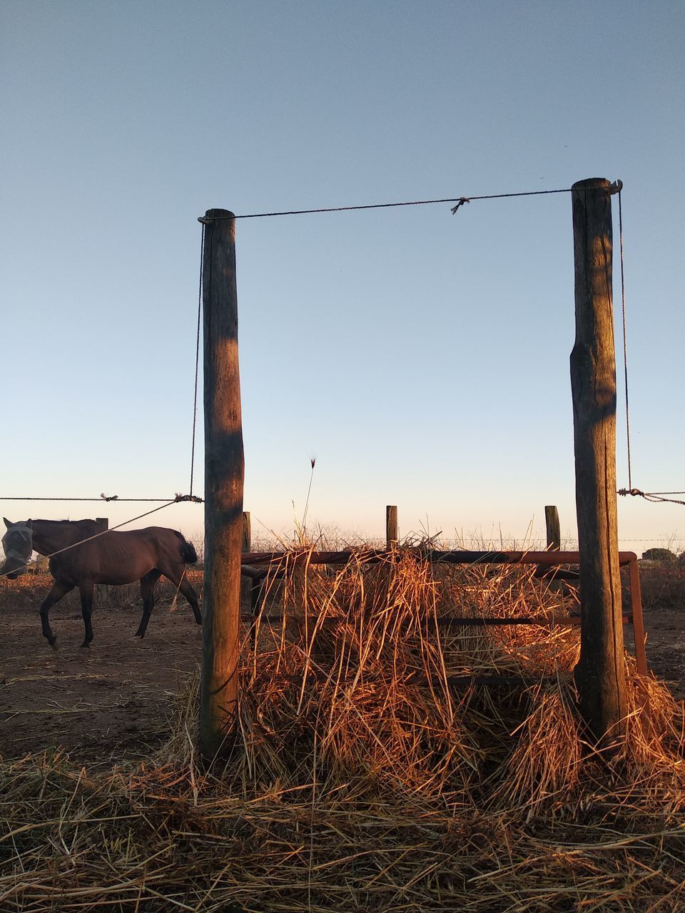 WOODEN POSTS ON FIELD AGAINST SKY