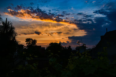 Silhouette trees and buildings against sky during sunset