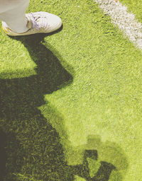 grass