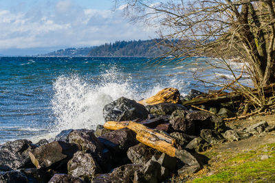 Back rocks line the shore on a windy day at saltwater state park in washington state.