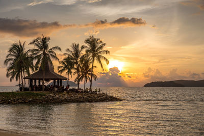 Palm trees at beach against sky during sunset