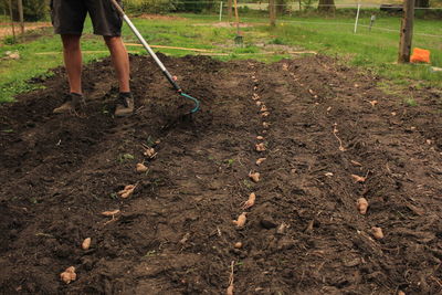 Low section of person working on field