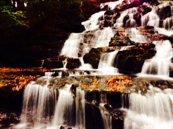 Waterfall in forest