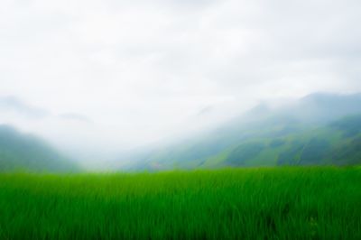 Scenic view of landscape against cloudy sky