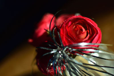 Close-up of red rose on table