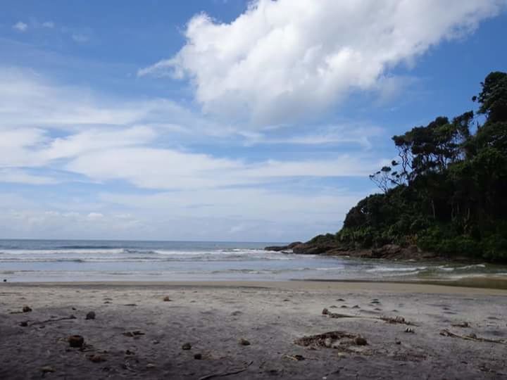 SCENIC VIEW OF BEACH AGAINST CLOUDY SKY