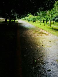 Road passing through trees