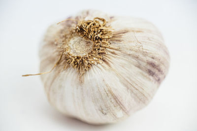 Close-up of garlic bulb over white background