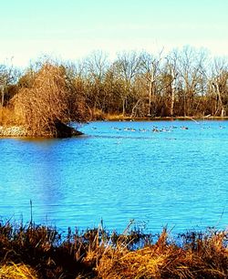View of calm lake against blue sky