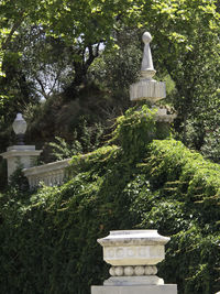 Statue in garden