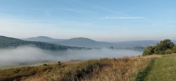 Scenic view of field against sky