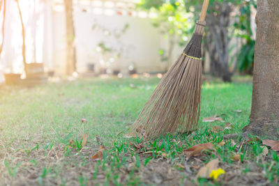 Sweep front yard