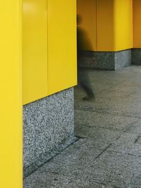 Close-up of yellow shadow