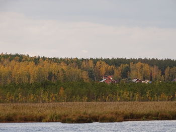 Scenic view of trees by lake against sky
