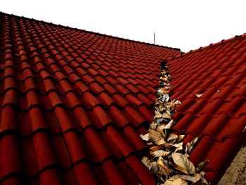 Low angle view of statue against roof