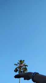 Low angle optical illusion of hand holding palm tree against clear blue sky