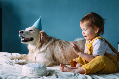 Labrador golden retriever together with a little cute child celebrate birthday