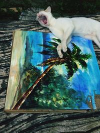 Cat on tree
