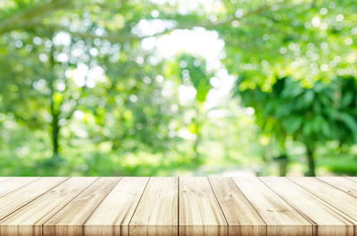 Close-up of wooden bench in park