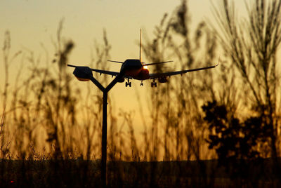 Silhouette bird flying over field against sky during sunset