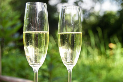 Close-up of champagne flutes